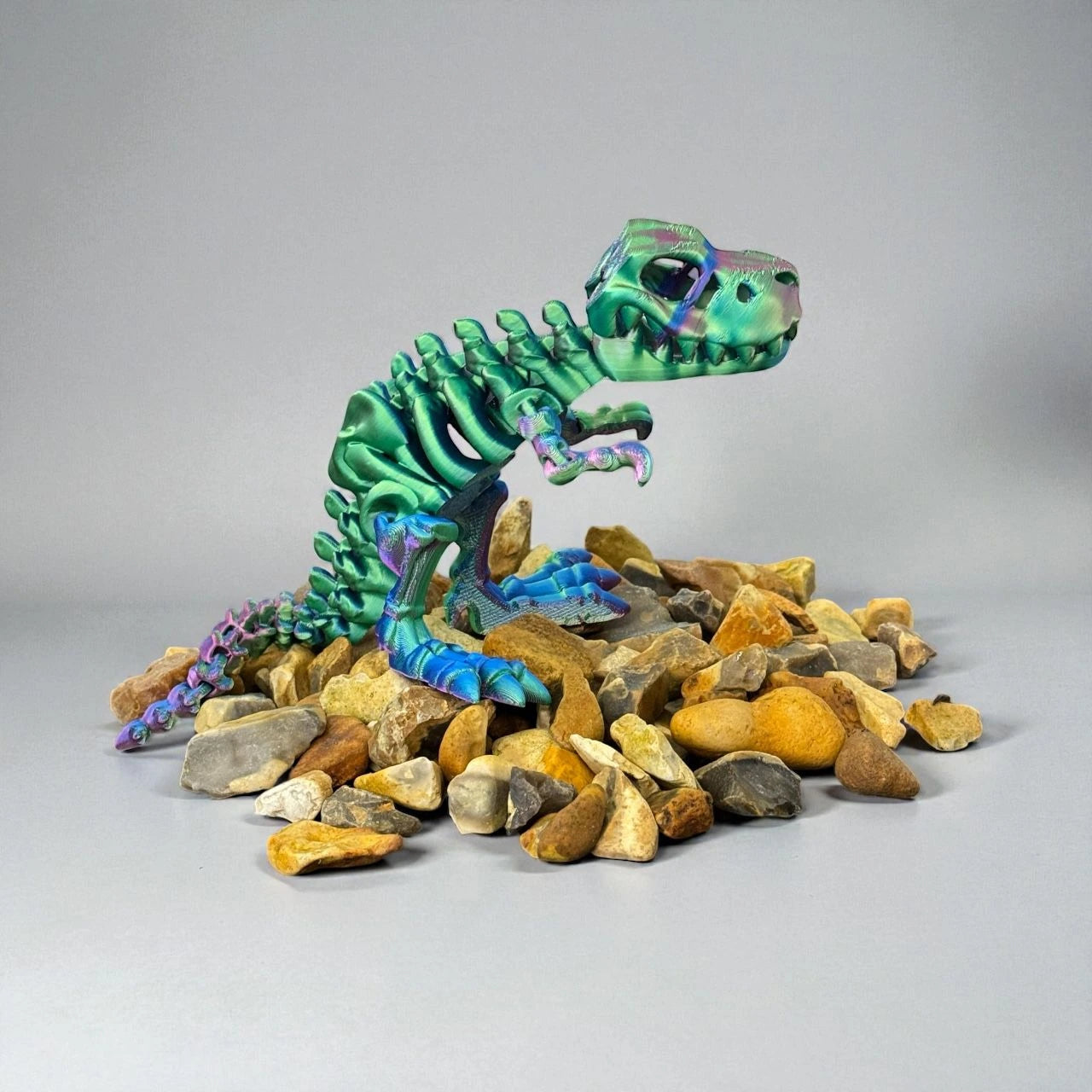 Medium / Large T-Rex Skeleton (Multicolour)